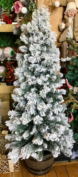 Tree with Snow potted