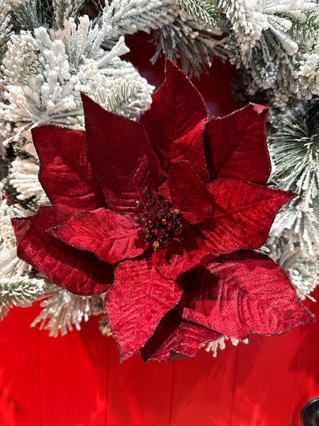 30cm Burgandy Poinsettia