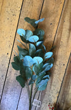 Eucalyptus Pick