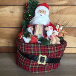 Animated Musical Santa in Tartan Bag