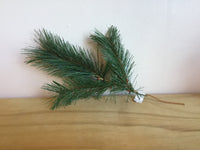 Pine Spray