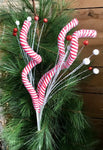 Triple Candy Cane Squiggle