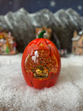 Pumpkin moving snow globe