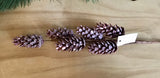 Pine Pick 6 Long Cones