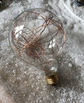 Twinkle Bulb with Seed Lights