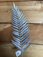 Silver Fern Frond