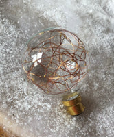 Twinkle Bulb with Seed Lights