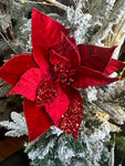 RED VELVET POINSETTIA