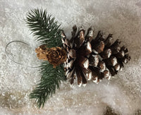 Pine Cone Hanger