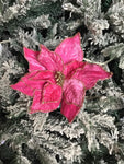 Hot Pink Poinsettia Stem