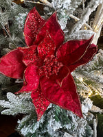 RED POINSETTIA