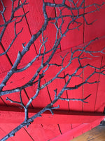 Shimmery Branch