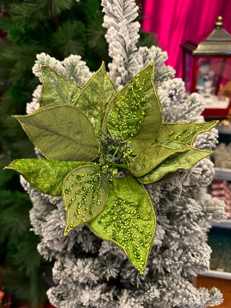 GREEN POINSETTIA