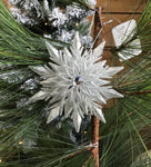 Silver Snowflake