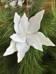 Poinsettia White w Pearl Stamen & Edge