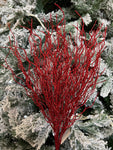 Red twisted willow