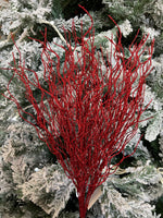 Red twisted willow