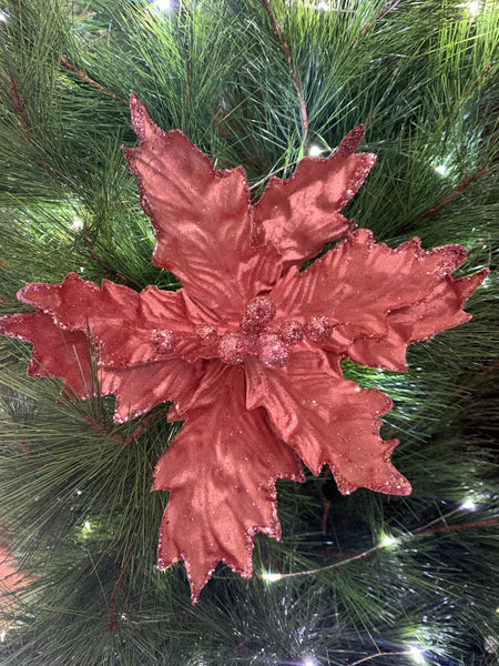 Pink Poinsettia