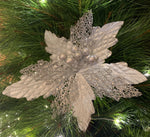 Silver Leaf Poinsettia