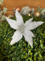 Small star poinsettia