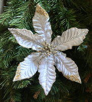 Pewter Crown Poinsettia