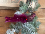 Burgundy feather bird